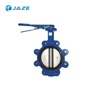 Jiangzhou Buffer Fly Valve